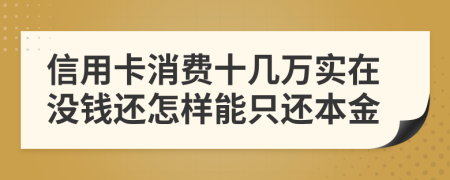 信用卡消费十几万实在没钱还怎样能只还本金