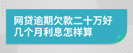 网贷逾期欠款二十万好几个月利息怎样算