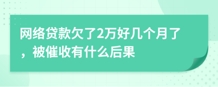 网络贷款欠了2万好几个月了，被催收有什么后果