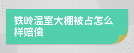 铁岭温室大棚被占怎么样赔偿