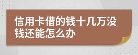 信用卡借的钱十几万没钱还能怎么办