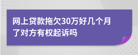 网上贷款拖欠30万好几个月了对方有权起诉吗