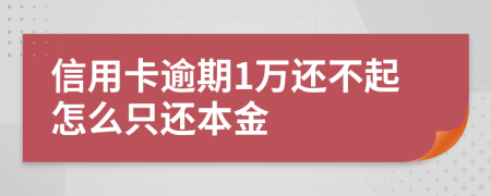 信用卡逾期1万还不起怎么只还本金