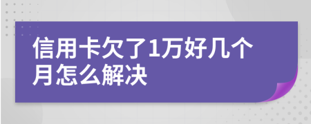 信用卡欠了1万好几个月怎么解决