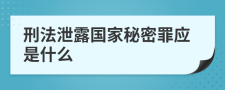 刑法泄露国家秘密罪应是什么