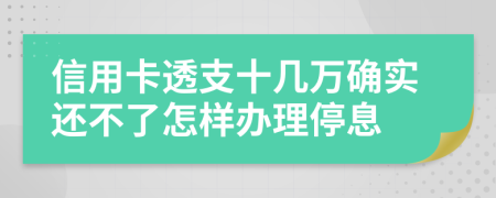 信用卡透支十几万确实还不了怎样办理停息