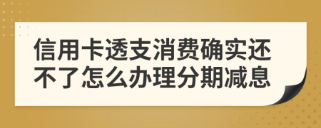 信用卡透支消费确实还不了怎么办理分期减息