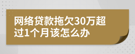 网络贷款拖欠30万超过1个月该怎么办