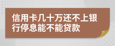 信用卡几十万还不上银行停息能不能贷款