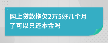 网上贷款拖欠2万5好几个月了可以只还本金吗