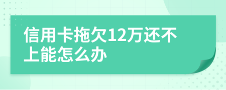 信用卡拖欠12万还不上能怎么办