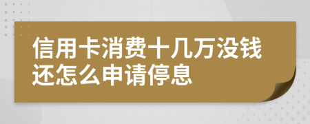 信用卡消费十几万没钱还怎么申请停息