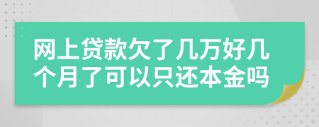 网上贷款欠了几万好几个月了可以只还本金吗