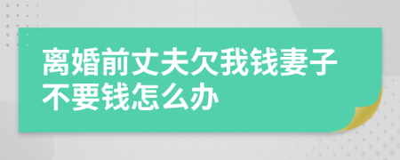 离婚前丈夫欠我钱妻子不要钱怎么办