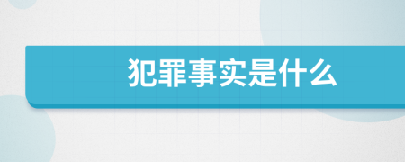 犯罪事实是什么