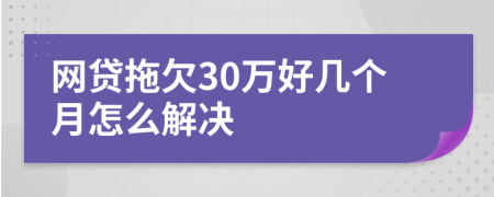 网贷拖欠30万好几个月怎么解决