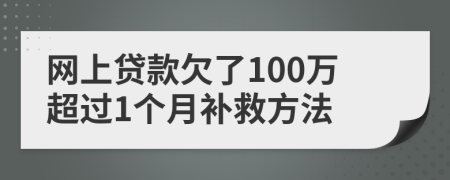 网上贷款欠了100万超过1个月补救方法
