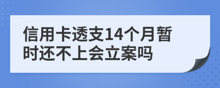 信用卡透支14个月暂时还不上会立案吗