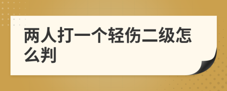 两人打一个轻伤二级怎么判