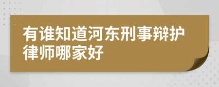 有谁知道河东刑事辩护律师哪家好