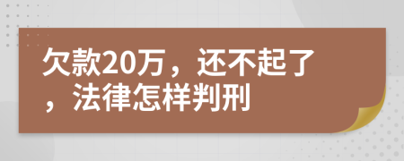 欠款20万，还不起了，法律怎样判刑