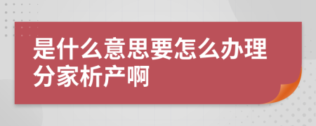 是什么意思要怎么办理分家析产啊