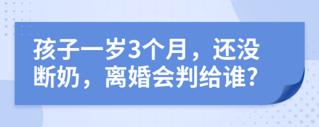 孩子一岁3个月，还没断奶，离婚会判给谁?