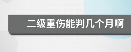 二级重伤能判几个月啊