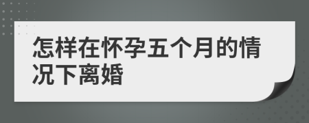 怎样在怀孕五个月的情况下离婚