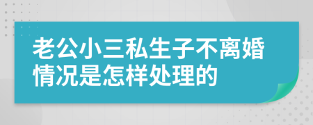 老公小三私生子不离婚情况是怎样处理的