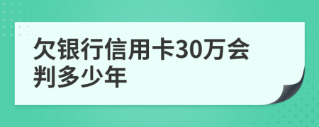 欠银行信用卡30万会判多少年