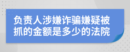 负责人涉嫌诈骗嫌疑被抓的金额是多少的法院