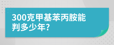 300克甲基苯丙胺能判多少年?