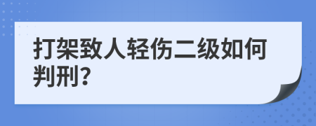 打架致人轻伤二级如何判刑？