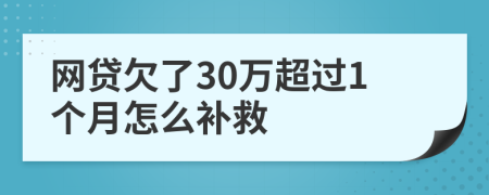 网贷欠了30万超过1个月怎么补救