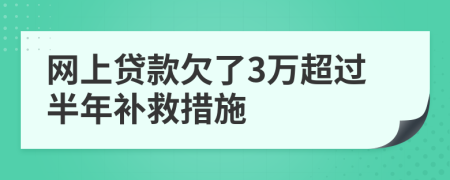 网上贷款欠了3万超过半年补救措施