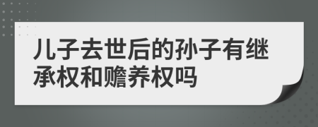 儿子去世后的孙子有继承权和赡养权吗