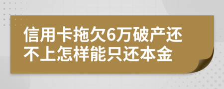 信用卡拖欠6万破产还不上怎样能只还本金