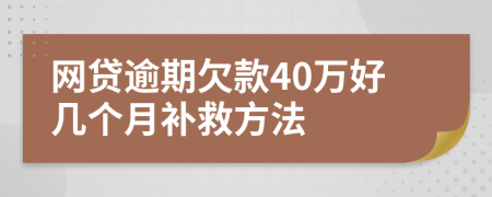 网贷逾期欠款40万好几个月补救方法