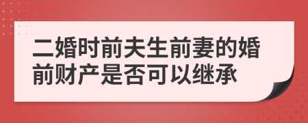 二婚时前夫生前妻的婚前财产是否可以继承