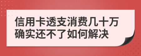 信用卡透支消费几十万确实还不了如何解决