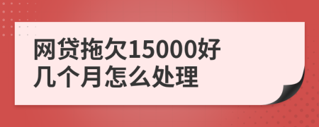 网贷拖欠15000好几个月怎么处理