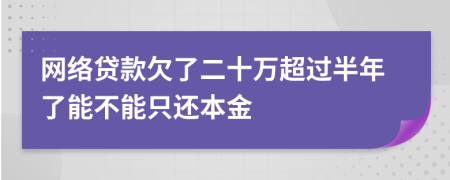 网络贷款欠了二十万超过半年了能不能只还本金