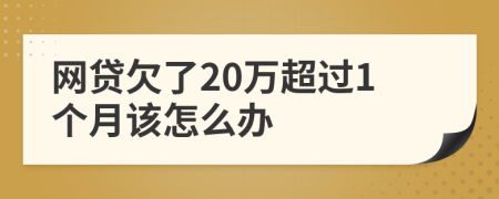 网贷欠了20万超过1个月该怎么办