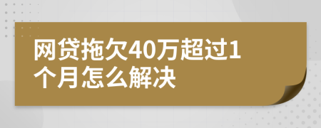 网贷拖欠40万超过1个月怎么解决