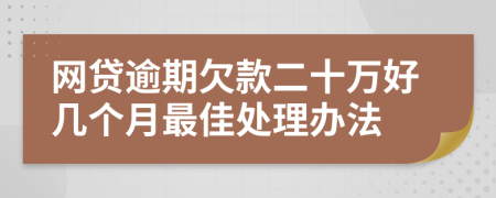 网贷逾期欠款二十万好几个月最佳处理办法