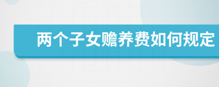 两个子女赡养费如何规定