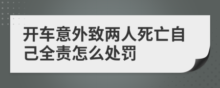 开车意外致两人死亡自己全责怎么处罚
