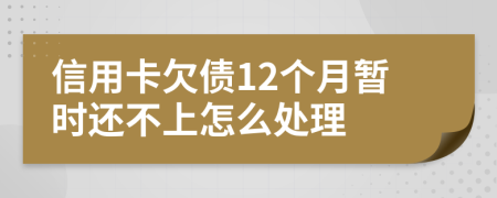 信用卡欠债12个月暂时还不上怎么处理