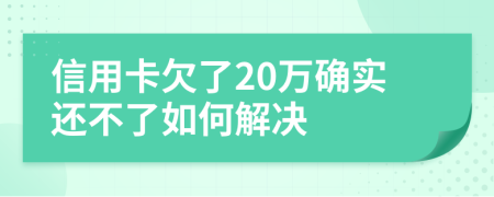 信用卡欠了20万确实还不了如何解决